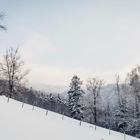 Waldjuwel Mostviertel Allhartsberg Exterior foto